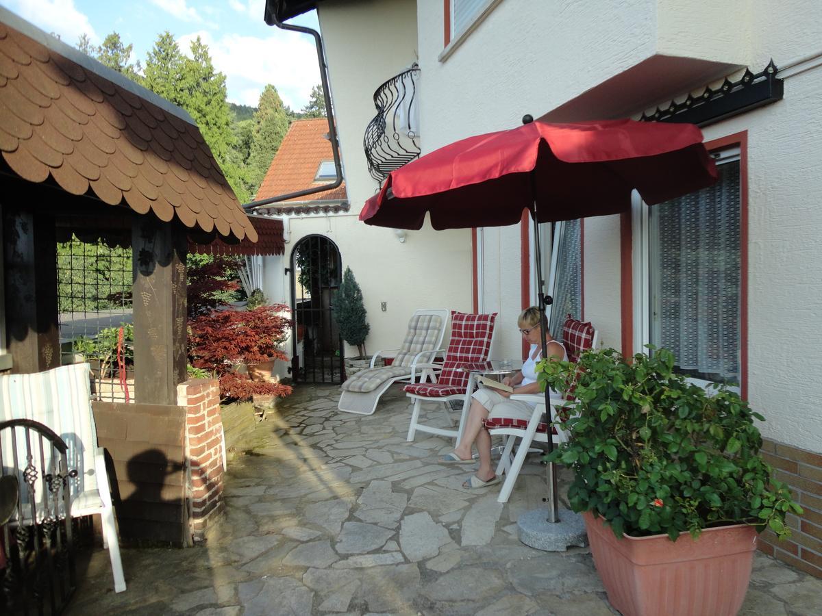 Gleisweiler Pension Weinberg Mit Landhaus Nizza מראה חיצוני תמונה